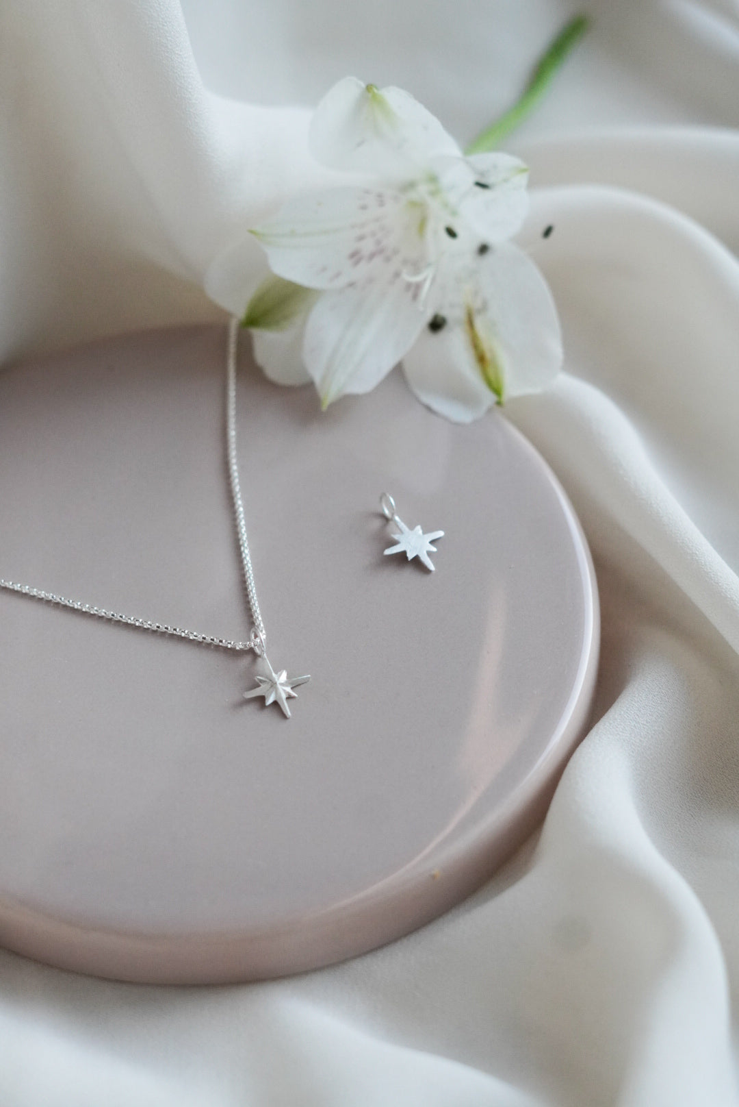 Kuolleen lemmikin muistolle koru