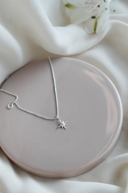 lemmikin muistokaulakoru